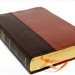 Old Scofield Study Bible
